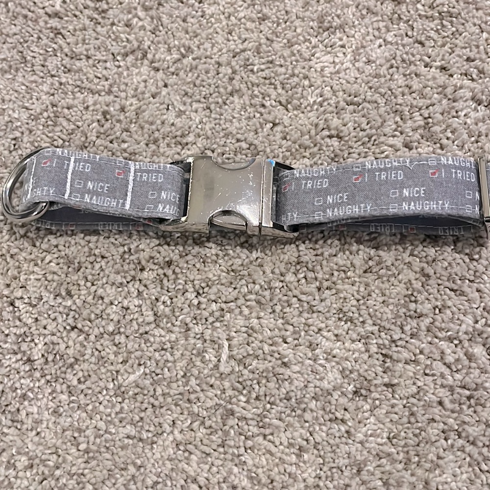 Nice, Naughty, I Tried dog collar